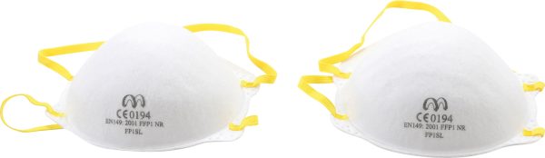 Dust Masks | 2 pcs.