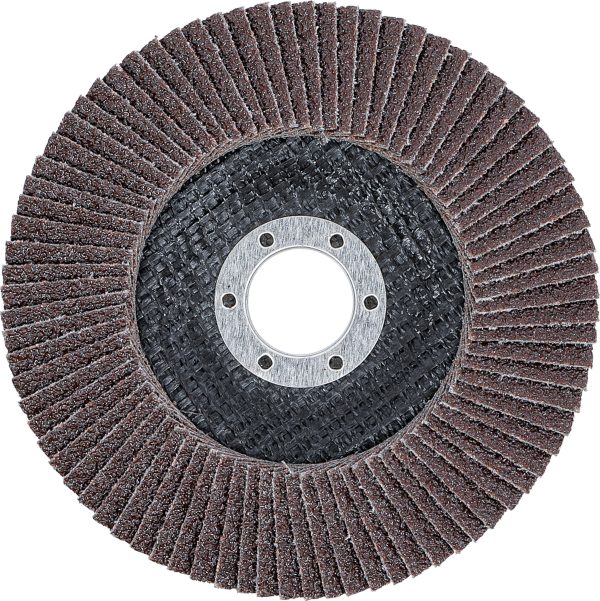 Flap Disc | Ø 125 mm | K 40