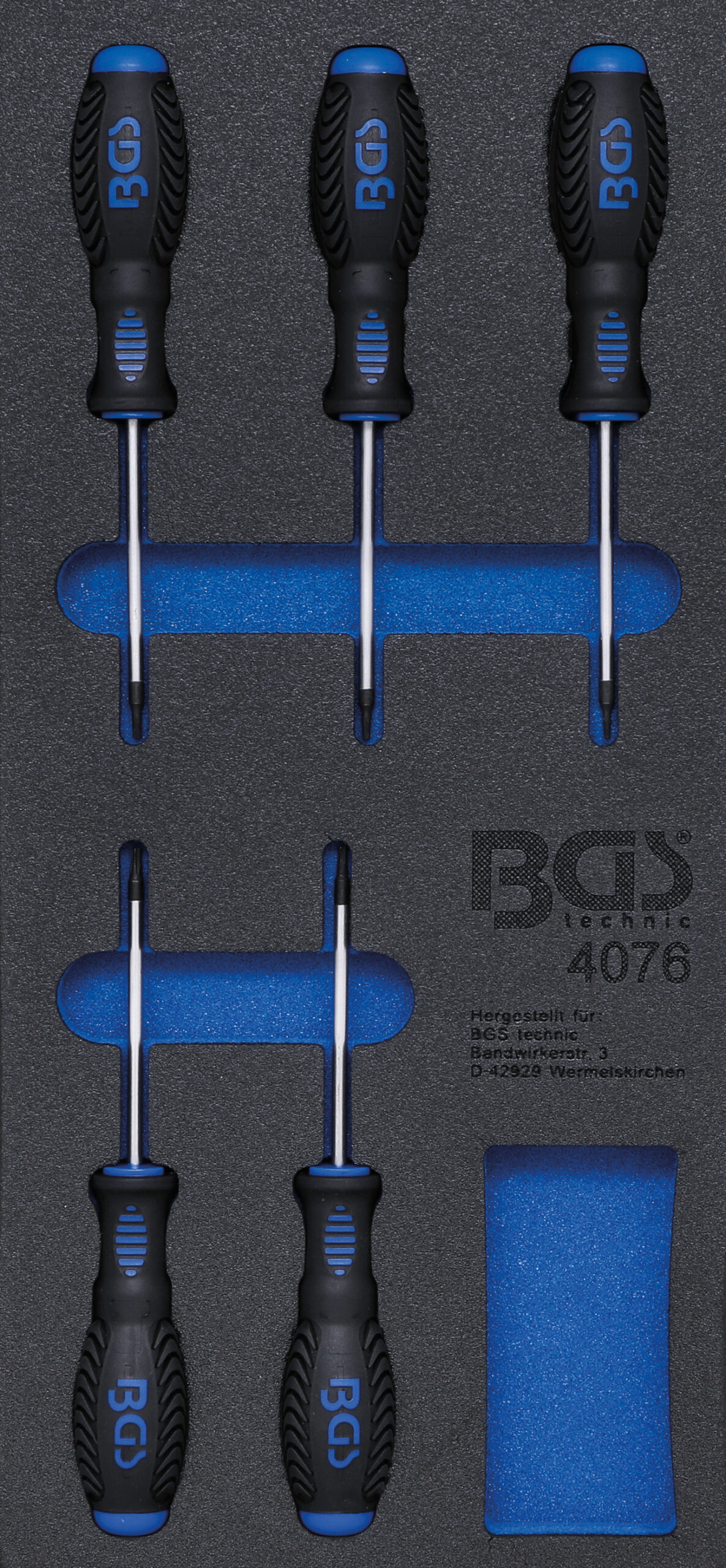 Tool Tray 1/3: Screwdriver T-Star (for Torx) | 5 pcs.