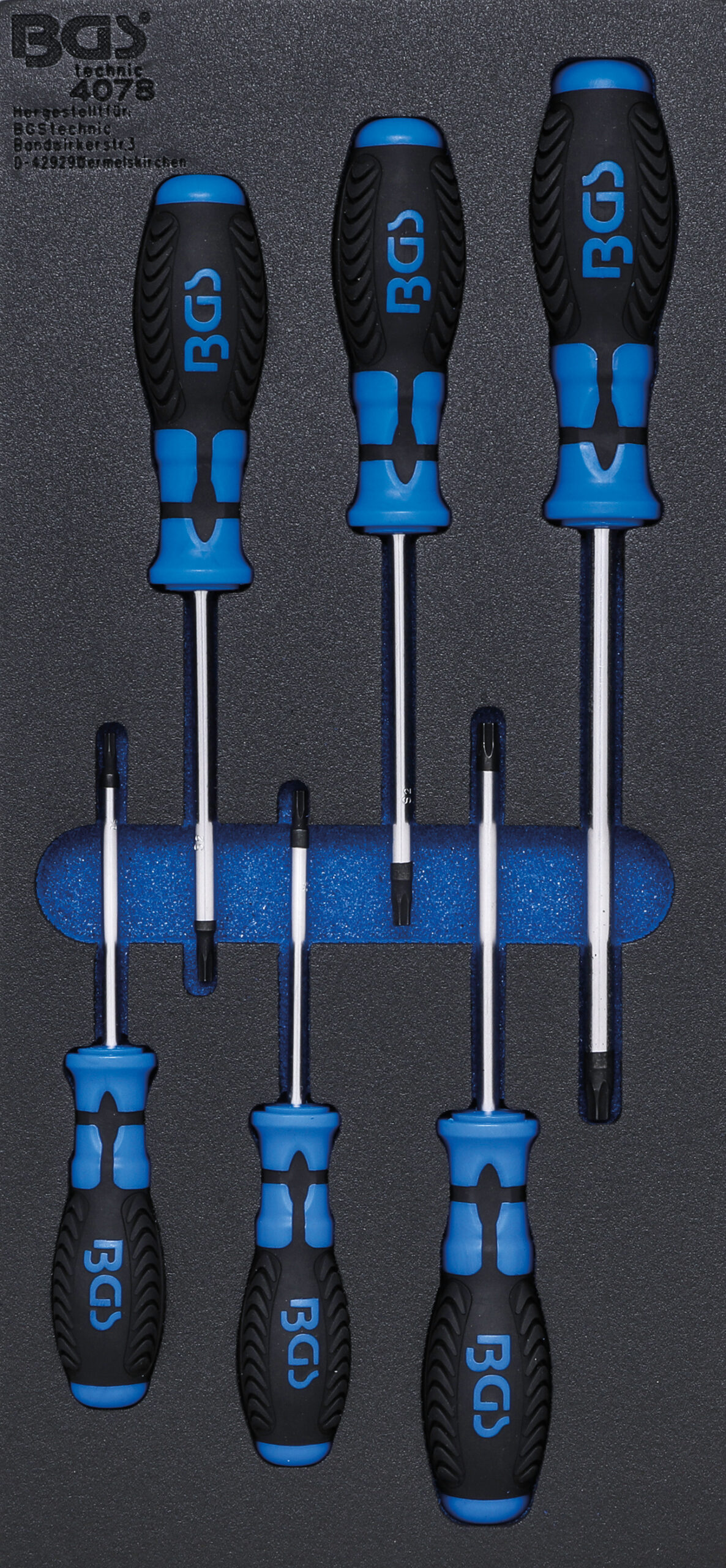 Tool Tray 1/3: Screwdriver T-Star (for Torx) | 6 pcs.