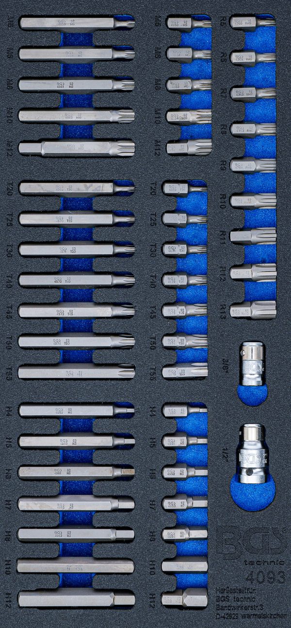 Tool Tray 1/3: Combined Bit Set | 49 pcs.