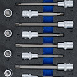 Tool Tray 1/3: Bit Socket Set | 12.5 mm (1/2") | Spline (for XZN) | 22 pcs.