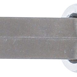 Bit Socket | length 100 mm | 12.5 mm (1/2") Drive | Spline (for RIBE) | M12